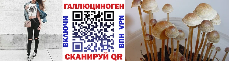 Купить где  Батайск  Псилоцибиновые грибы Cubensis 